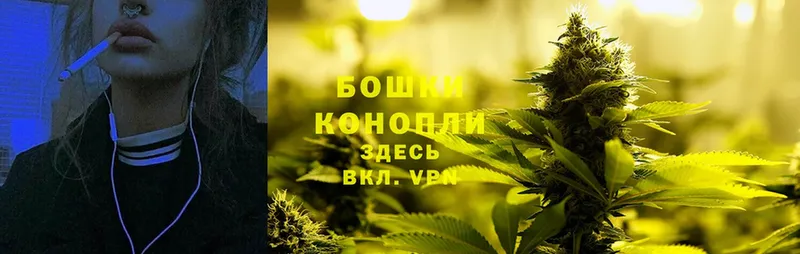 Канабис White Widow  Аша 